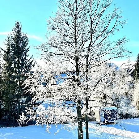 Kuhstall Appartement *