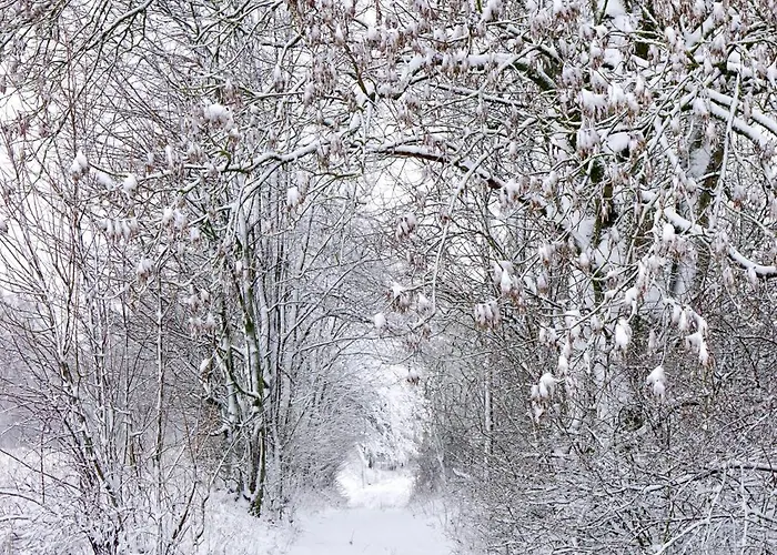 Kuhstall Apartment *